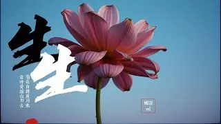 🌈生生 🎶 音樂，為愛而唱。這裡，沒有標籤，只有故事。🎶