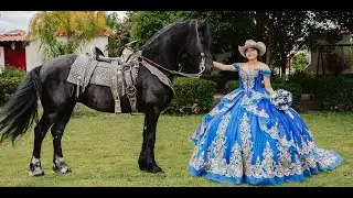 XV Años de Denise Sosa 2