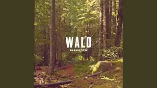 Wald