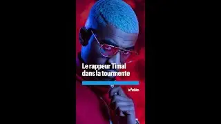 Le rappeur Timal dans la tourmente apr&egrave;s s&rsquo;&ecirc;tre film&eacute; frappant son chien