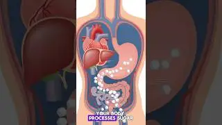 Doctor Warns: Hidden Sugar That TRIGGERS Chronic Inflammation