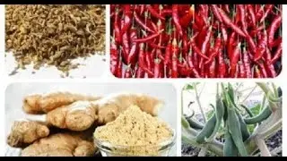 8 puissants analg&eacute;siques naturels qui n&rsquo;ont pas d&rsquo;effets secondaires
