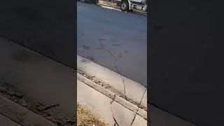 RV Stealing Electricity from a Street Light. Colorado homeless problem