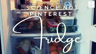 Quick & Dirty Fridge Organization Science!