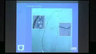 Dr. Chris Borstad | Continuum damage models for fracturing and weakening of Antarctic ice shelves