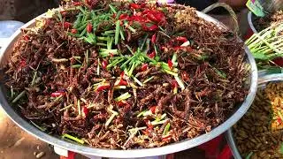 Exotic Cambodian Street Foods | Grilled grasshoppers and wild spiders 