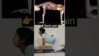 Back Pain Relief in 13 Seconds | Cat&ndash;Cow Stretch #yoga #shorts #yogasana #viral