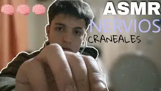 ASMR test de los NERVIOS CRANEALES soft spoken en 10 minutos - asmr en español #asmr #asmrenespañol