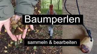 Baumperlen sammeln und bearbeiten