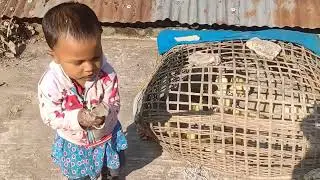 🌿শিশির ভোজা পাতা সব কিছু মিলে আলহামদুলিল্লাহ 🌿🌿
