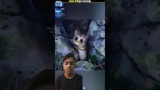 ALERT This Is Extinct Animals 2024 FSPT-269 😱😱|FactsMine | #shorts #factsero #viral