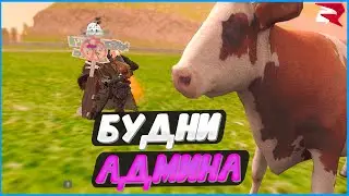 Спалил махинации! 41КК у новорега! Будни админа! | #1318 | Родина