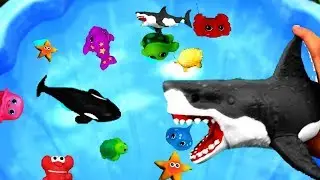 Learn Colors With Sea Wild Animals and Animal Names | Pool Water Colors For Kids | Kids Video P38