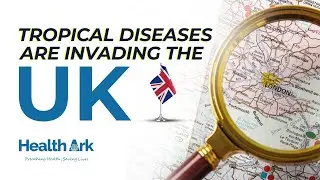 How Climate Change Is Bringing Tropical Diseases to the UK #climatechange #publichealth #staysafe 