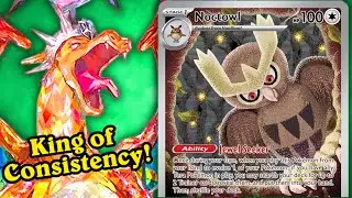DawnZard for Toronto Regionals