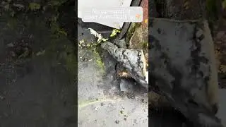 Rubber roof fails! Dormer flat roof replacement in Elswick