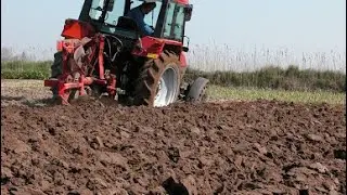 Farmland For Sale In Ayensuano Eastern Region | Electricity, Road Details By Agric Officer In Charge