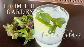 From Gardens to Glass!: 🍸 Making Cocktails with Ingredients from The Gardens at Park Winters