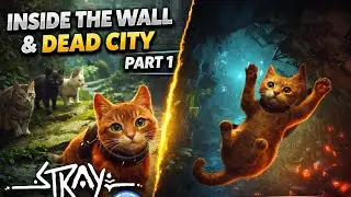Stray 🐾 | Inside the Wall & Dead City (Full Gameplay)
