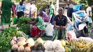 Backpacking Sri Lanka in 2025