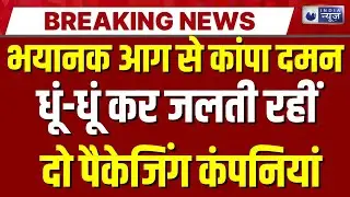 Breaking News: दमन में भीषण आग का कहर पैकेजिंग कंपनी में लगी आग ! | Daman Fire Breaking