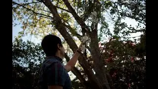 Amplifying Indigenous Voices: A Short Film Series at Bay Street Theater
