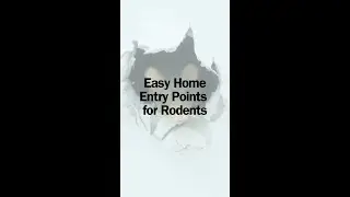 Garage Door Seal Tips
