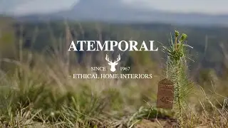 Bosquia Atemporal