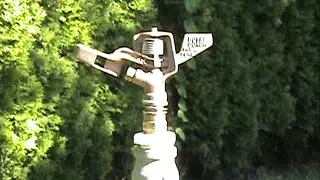 Royal Coach 10170  Impact Sprinkler