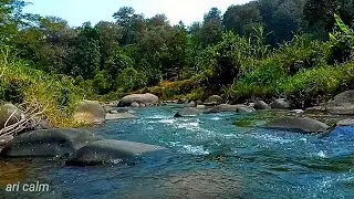 Deep Sleep & Relaxation with Gentle Flowing River Water in Lush Forest Nature #12