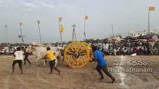 పెద ఓగిరాల గ్రామం, కృష్ణా జిల్లా |  సంక్రాంతి ఎడ్ల పందాలు -- సీనియర్ విభాగం | 12-1-2026  Part 3