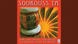 Safari Drums - Bongos Drums and Djembe