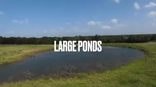 Golden Oak Ranch Land Sale Feb 15th