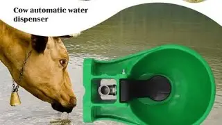 Cow automatic water dispenser / cow water bowl / automatic drinking system / automatic drinker 2024
