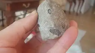 Stone age rock art;