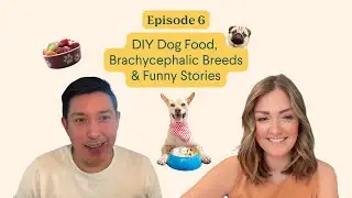 Dr. Molly Brinkmann talks: DIY Dog Food, Brachycephalic Breeds & Funny Stories