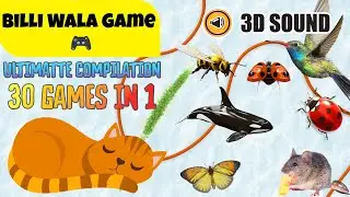 Cat Games for Home Alone Cats | पूरे दिन का वीडियो: छोटे जीव और तितलियाँ देखने के लिए 🔍🐛🦋🐌🐜