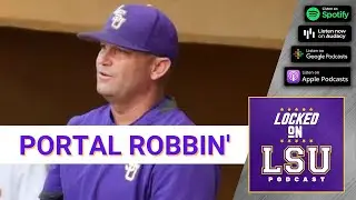 LSU baseball's Jay Johnson cleans up in the transfer portal
