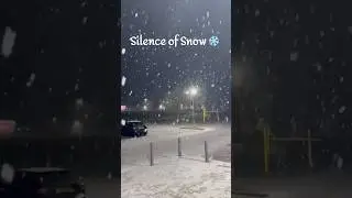 Snow Makes Everything Quite | UK Snowfall ❄️