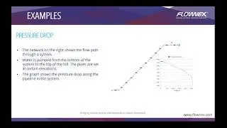 Flownex 1D CFD Simulation for Water Treatment Industry