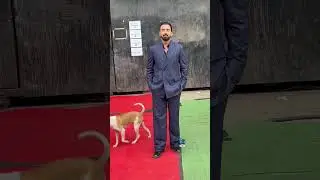 KL Rahul Spotted! Dog Following Him Everywhere? #buzzzookascrolls #bollywood