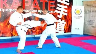 Junro Shodan #1. Kata and Bunkai. Full power and fast motion.