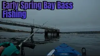 Early Spring Bay Bass Fishing | San Diego Bay