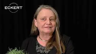 OP Grauer Star mit Laser Plus und EDOF-Linse (Premiumlinse) - Frau Hummel berichtet!