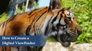 How to Create a Digital Viewfinder | Quick Tips