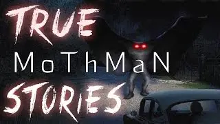 4 Chilling True Mothman Encounters