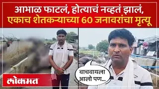 Nanded Mukhed Rain : नांदेडमध्ये पावसाचा धुमाकूळ, शेतकऱ्याच्या 60 जनावरांना जलसमाधी | SK3