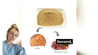 The Secret Ingredient Behind Irresistible Dog Food | Palapro Flavor Enhancer