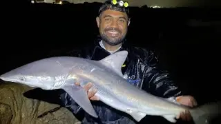 Shark Fishing Orange Rocks