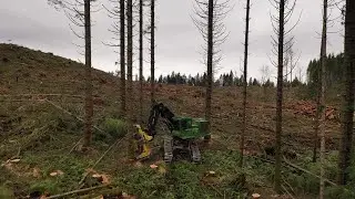 Feller buncher putting trees on the ground!
